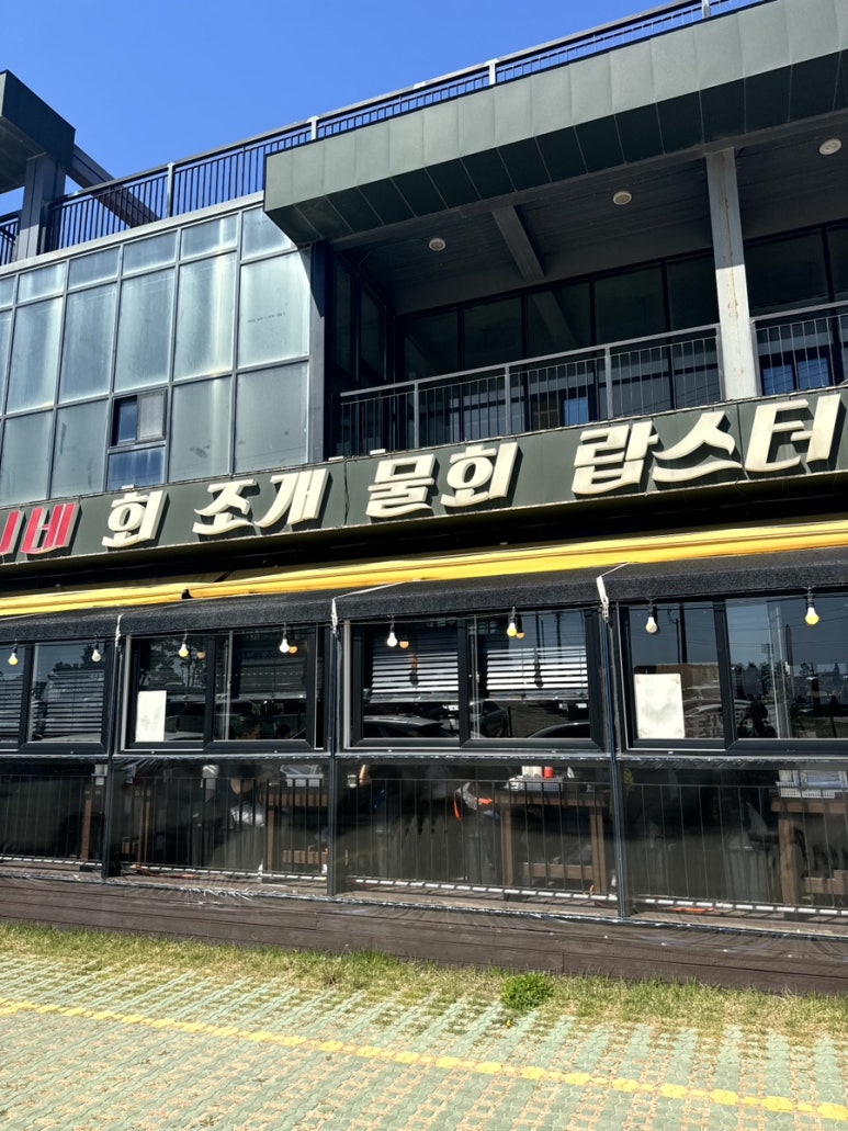 꼬니네회조개 이미지