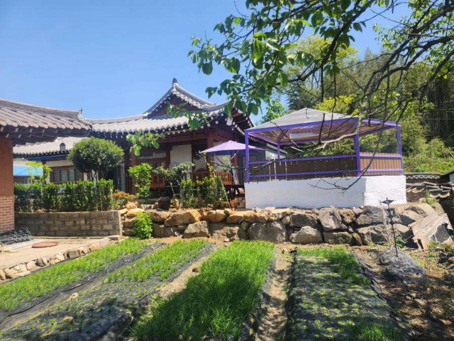 모산고인돌한옥민박 이미지