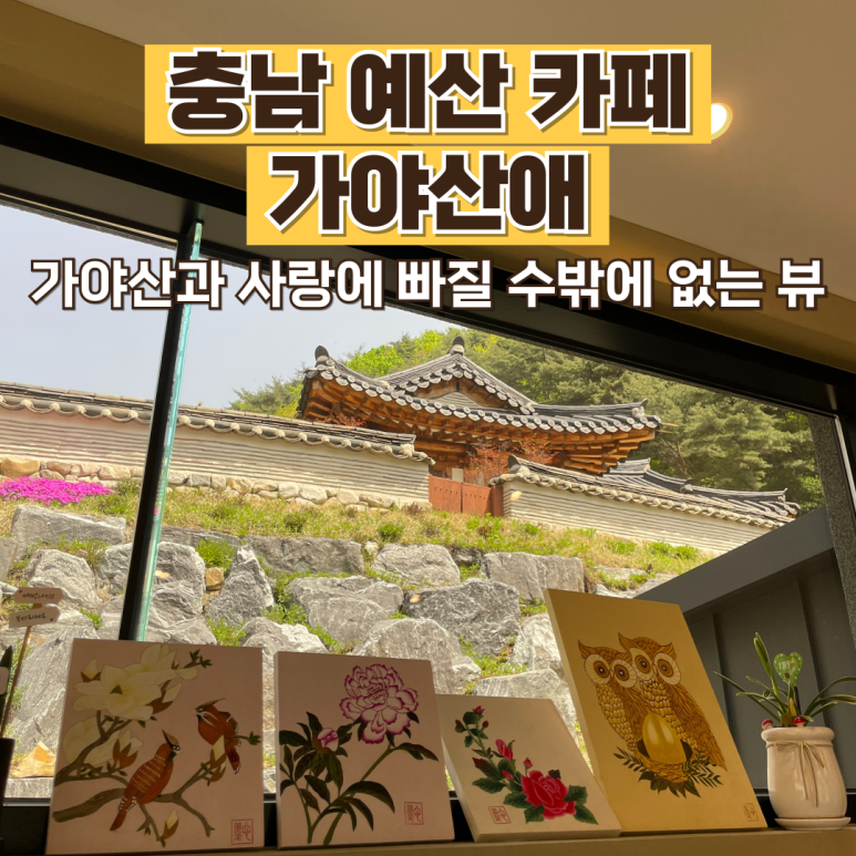가야산애 이미지