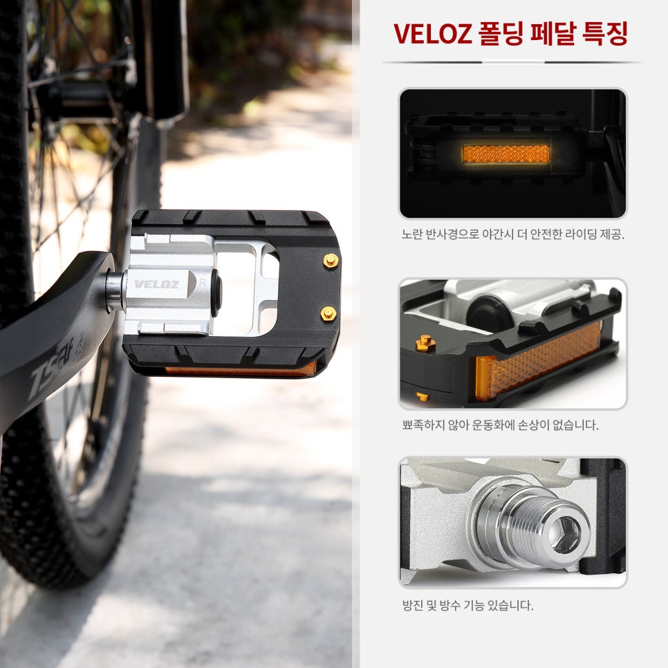 벨로즈 이미지