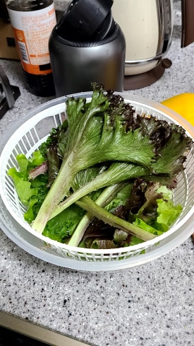(주)케이플러스팜 이미지