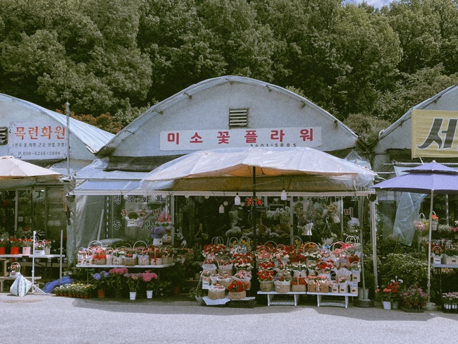 테라스461 이미지