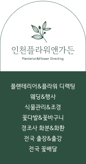디딤스터디카페대화역점 이미지