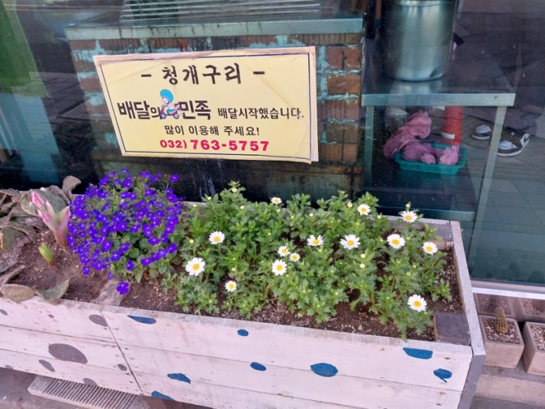 청개구리바베큐 이미지