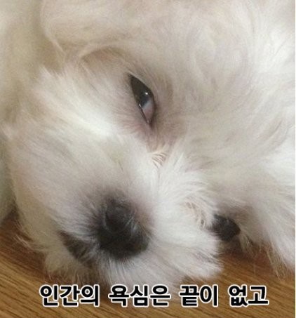 홀리데이바 이미지