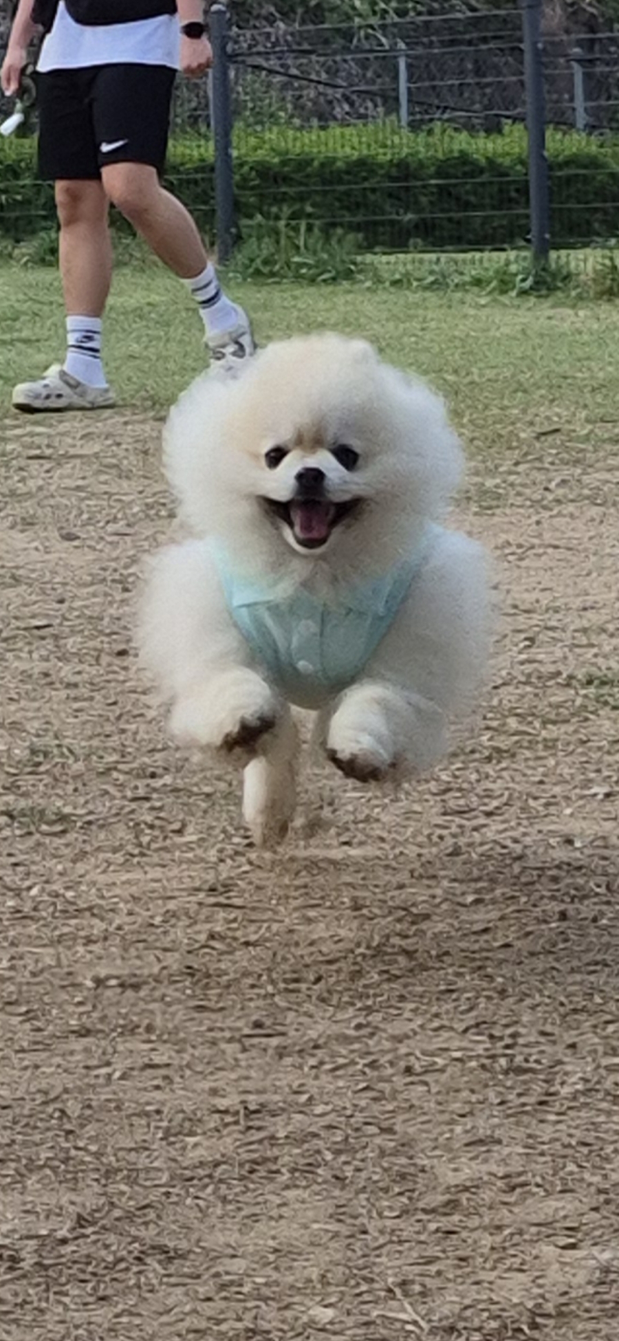 그날이오면펜션 이미지