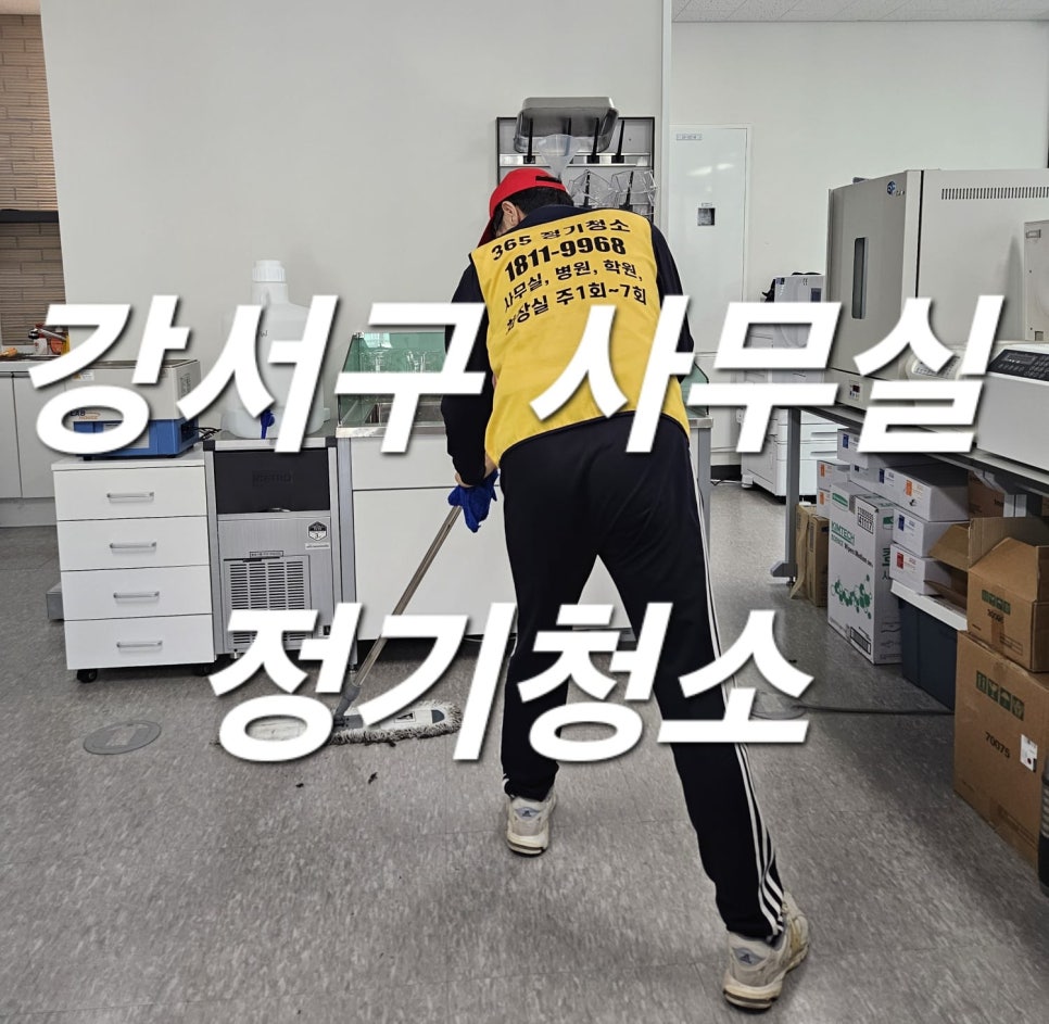 돌핀크린 이미지
