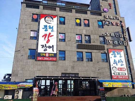 풍천강장어 이미지