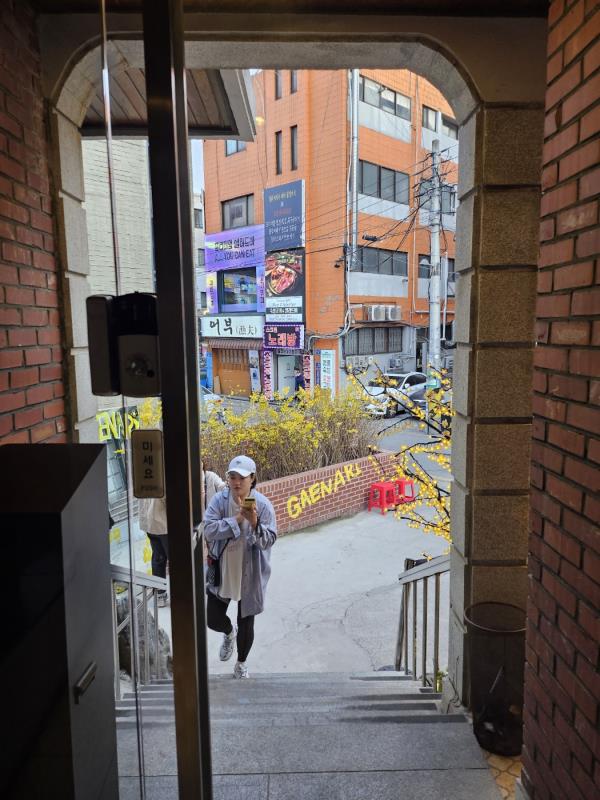 개나리아구찜 이미지