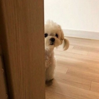 홀리데이바 이미지