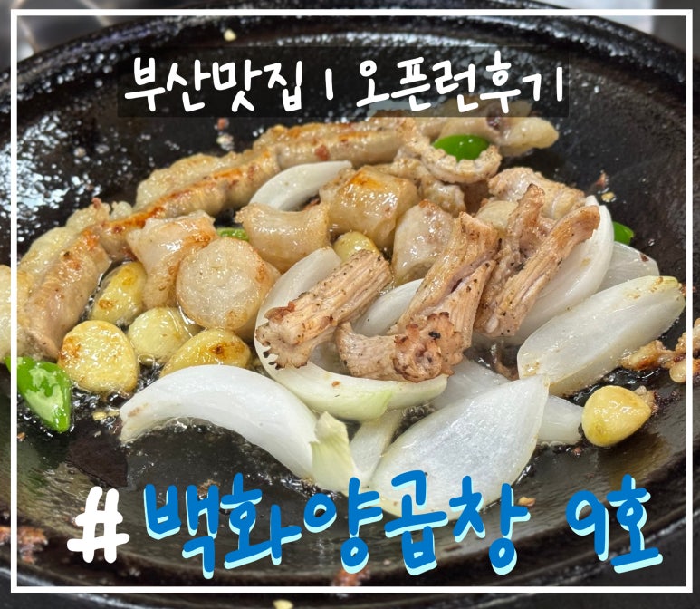 백화양곱창9호 이미지