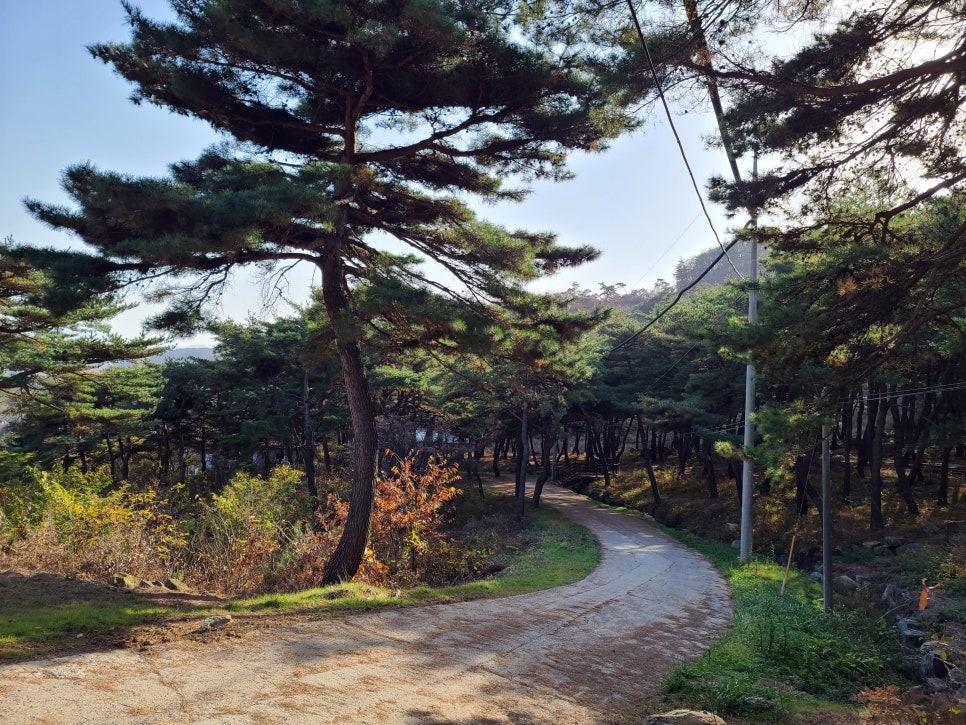 행정사사무소세종 이미지