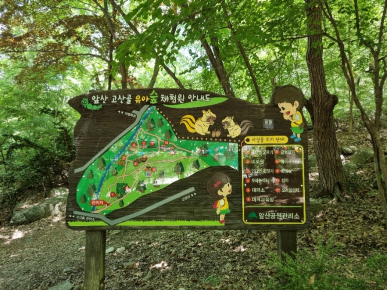 앞산고산골 유아숲체험원 이미지