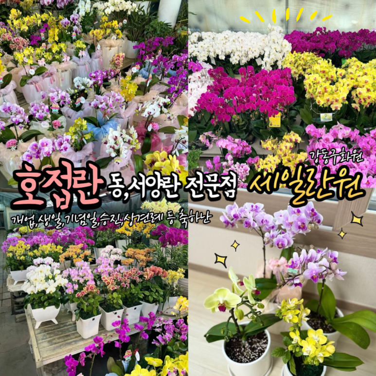 강동꽃화원 이미지
