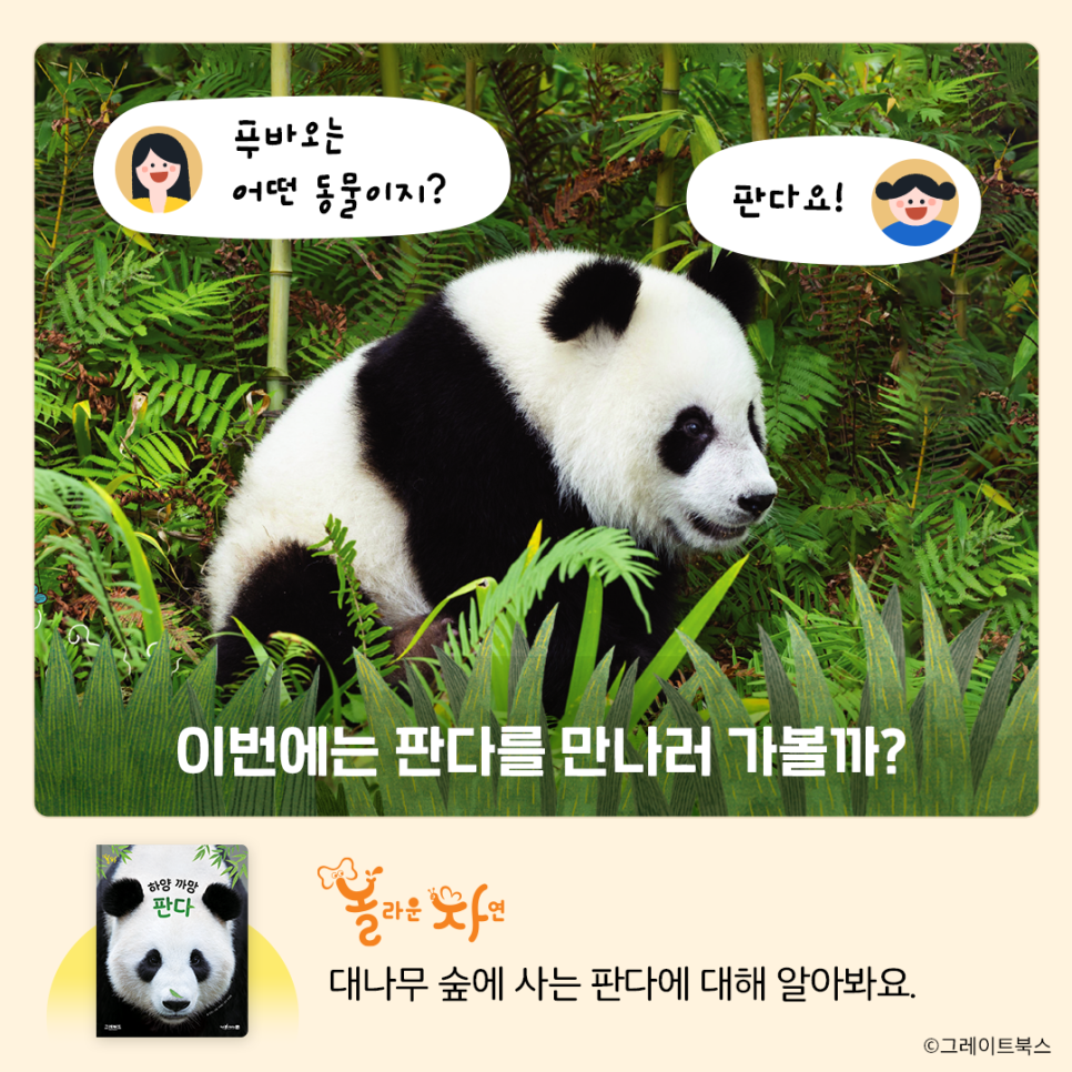 베스트북스 이미지