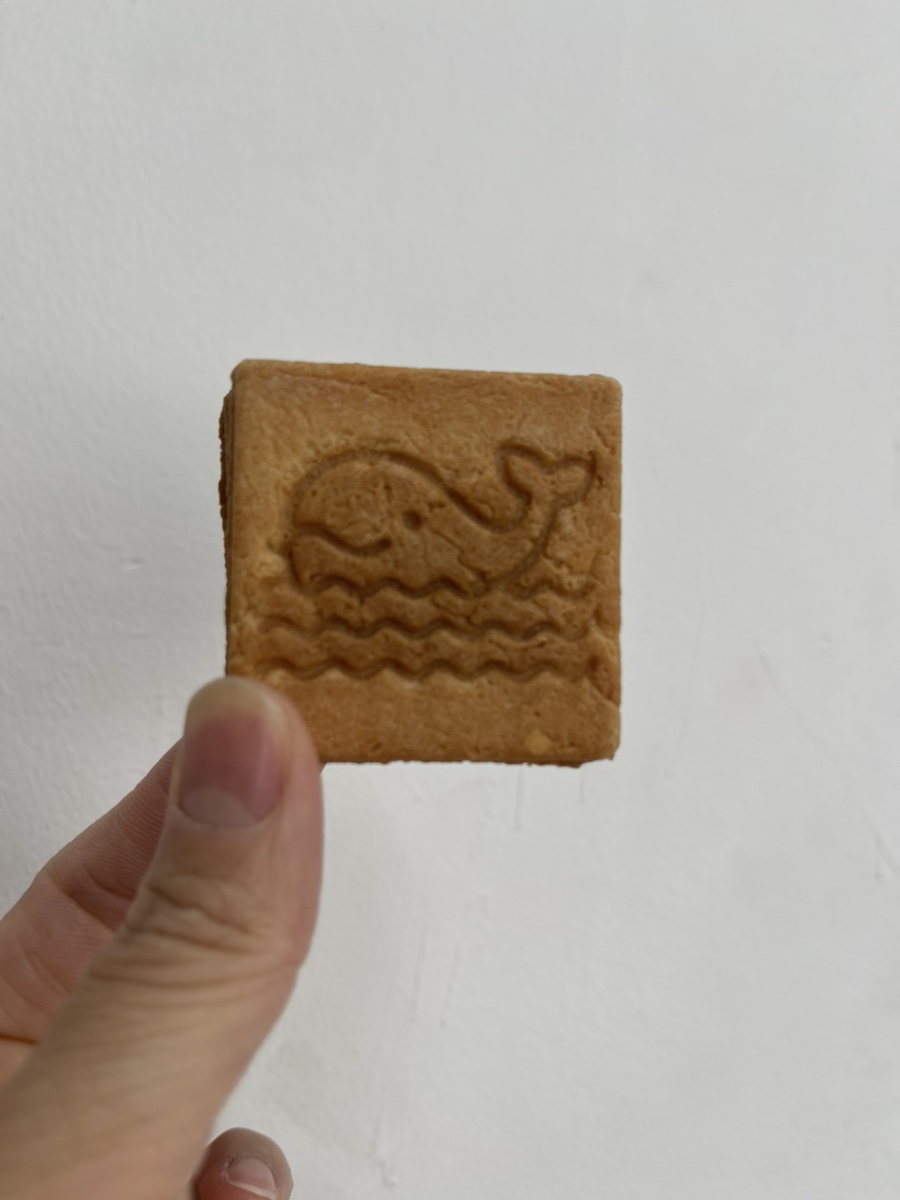 파파스클린 이미지