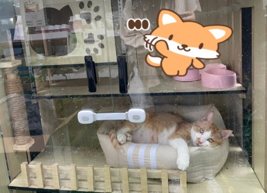 정다운꽃집 이미지
