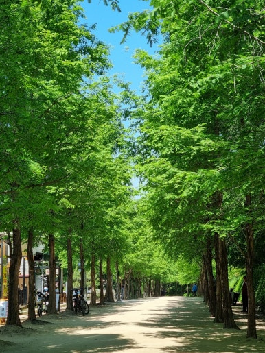 앞산고산골 유아숲체험원 이미지