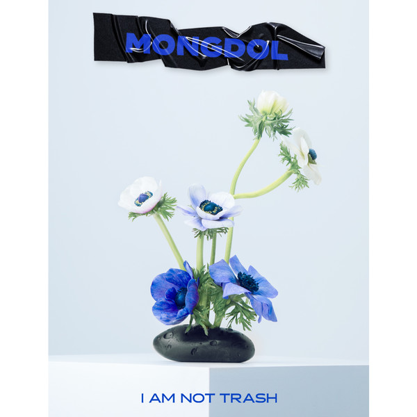 래쉬바다 이미지