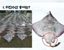 미진수산 이미지