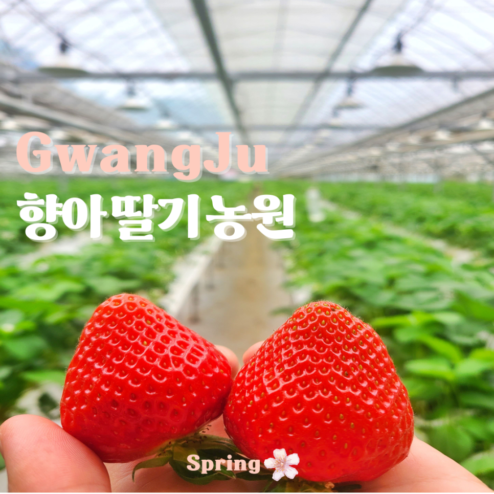 향아농원 이미지
