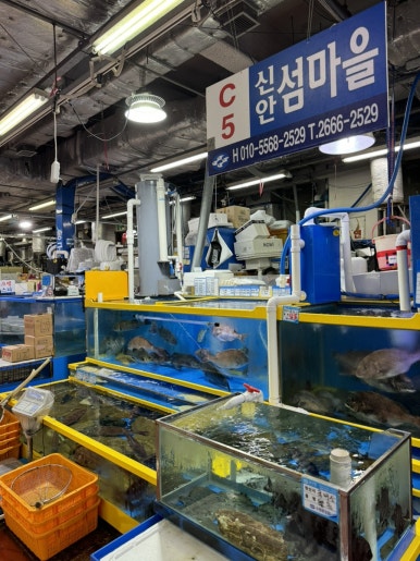 섬마을농수산물 이미지