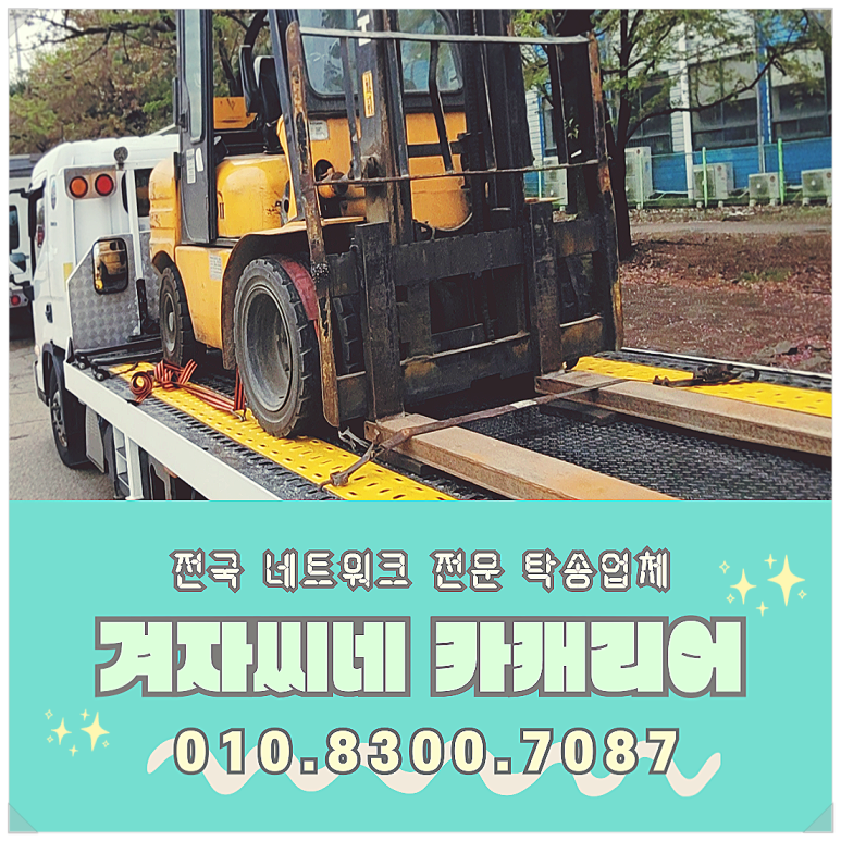 씨네카 이미지
