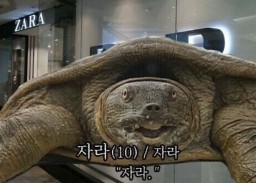 아베크스튜디오 이미지