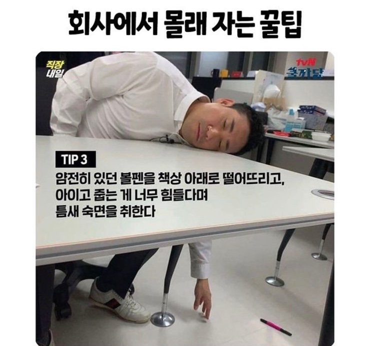 도토 이미지