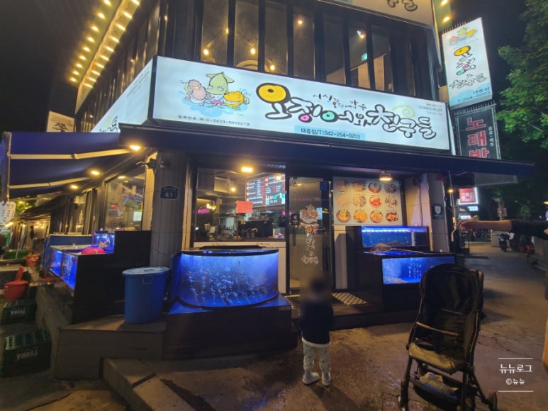 오징어 와 친구들 이미지