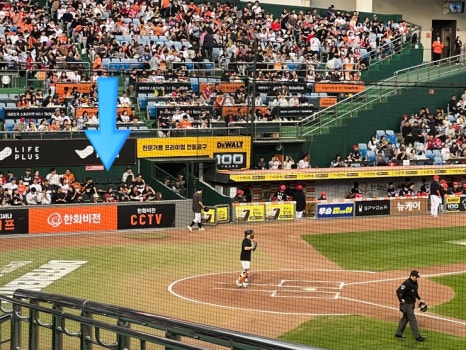 거금라이브 이미지