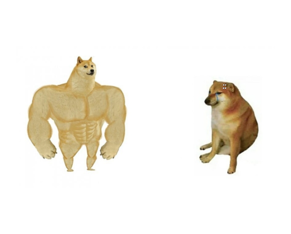 크로스핏베어 이미지