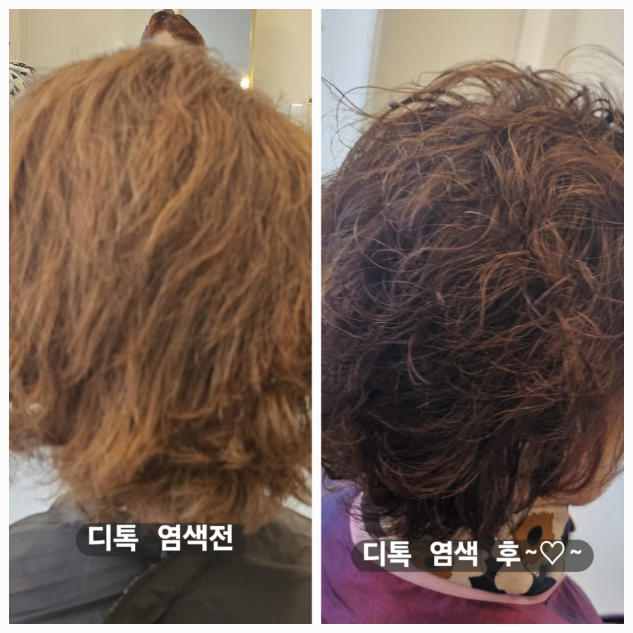 비채미 이미지