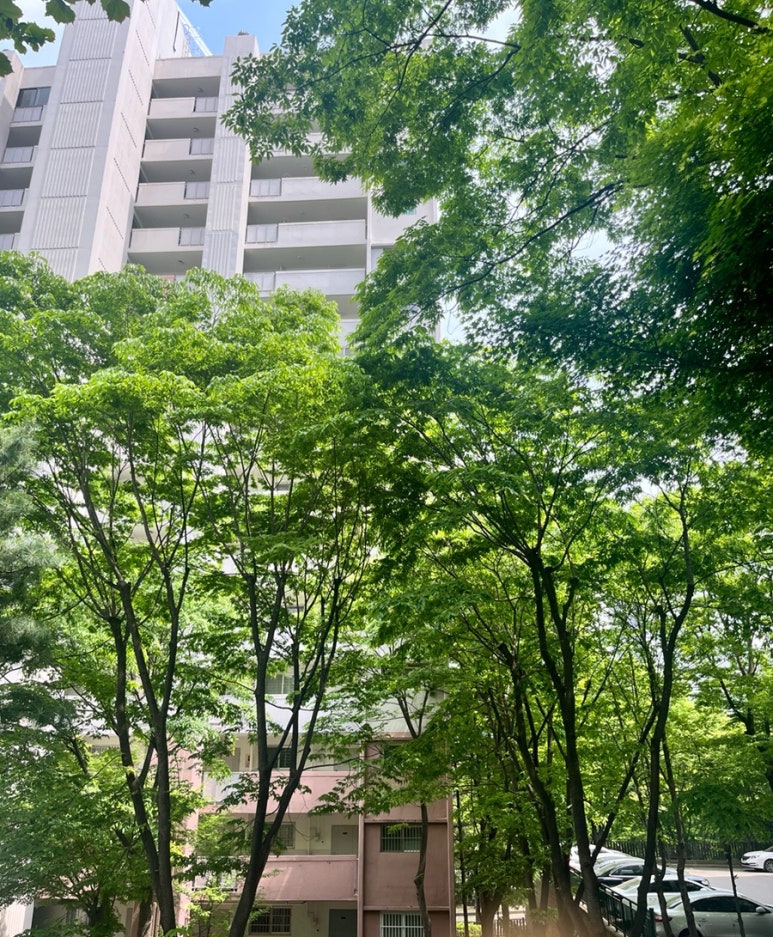 산본문구 이미지