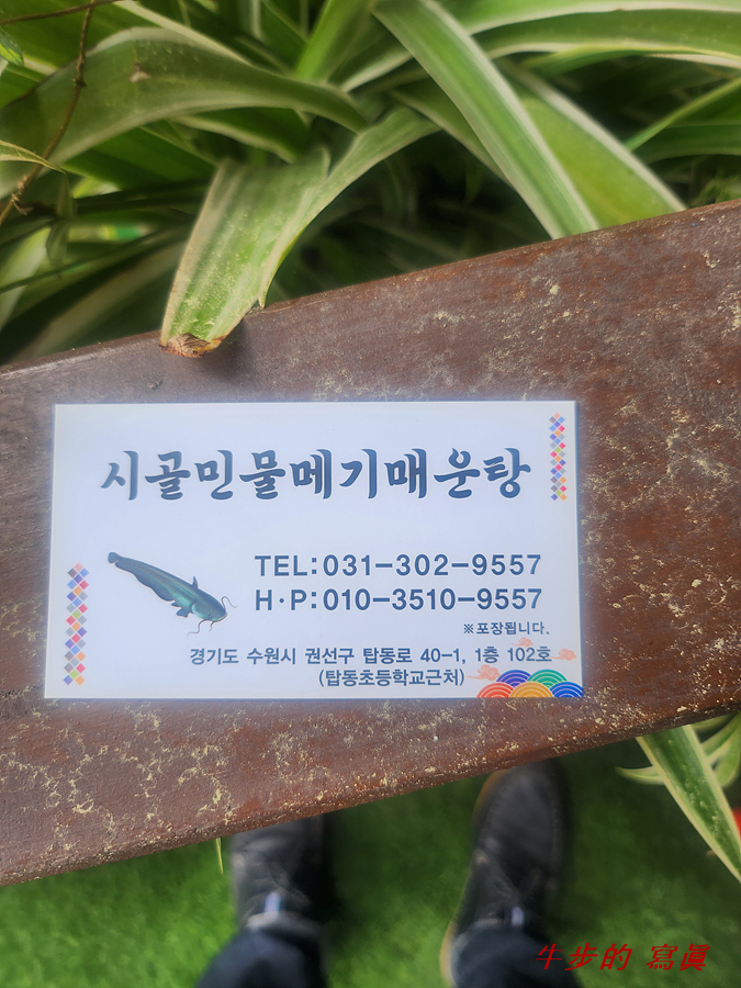 시골민물메기매운탕 이미지