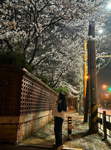 올라브리또 이미지