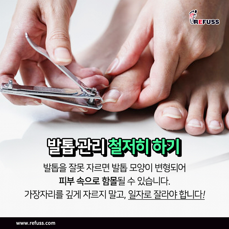 레푸스마곡 이미지