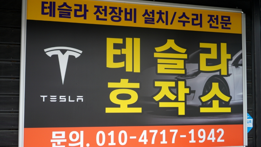 테슬라호작소 이미지