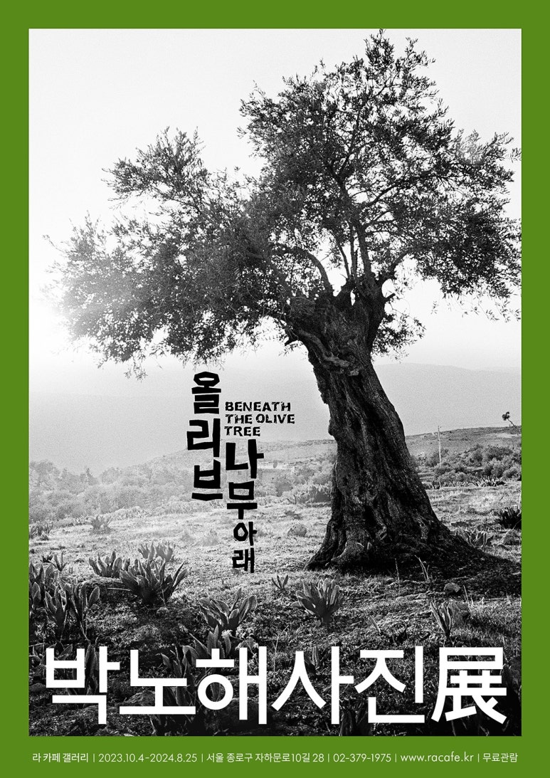 카페 올리브나무 이미지