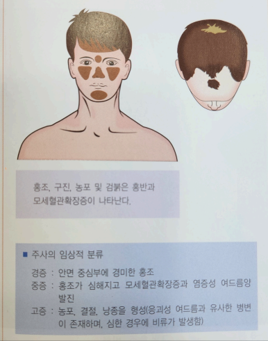 정우의학서적 이미지