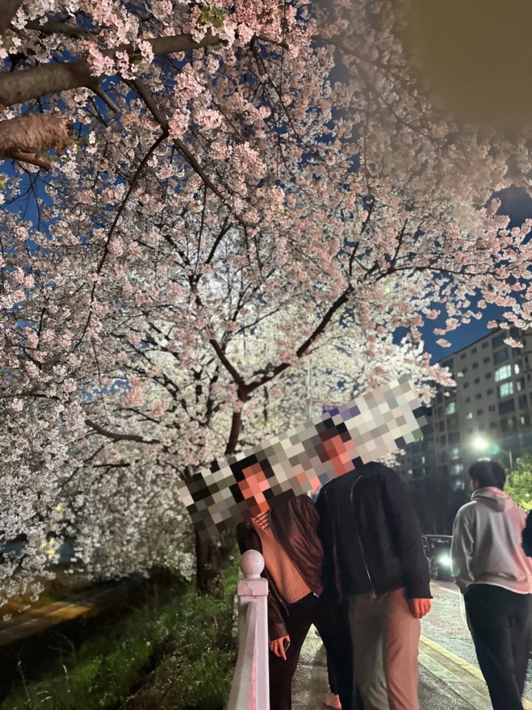 다이소전주하가점 이미지