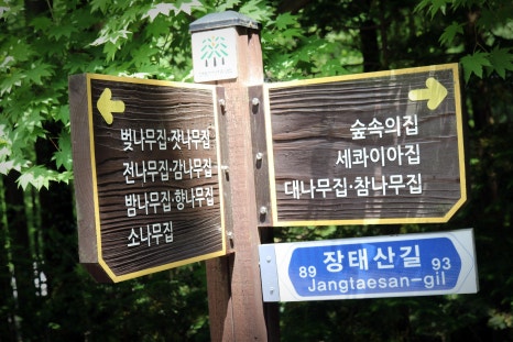 대나무집펜션 이미지