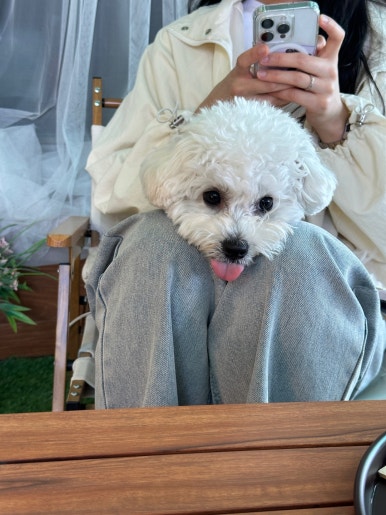 알맹2 이미지