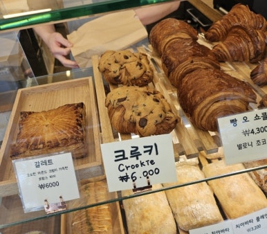 라비뛰드 이미지
