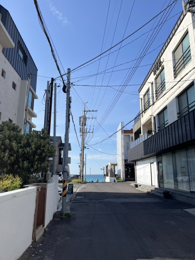 섬데이제주 이미지