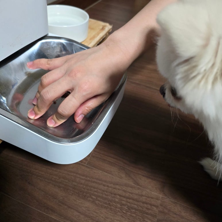 가마치통닭송촌점 이미지