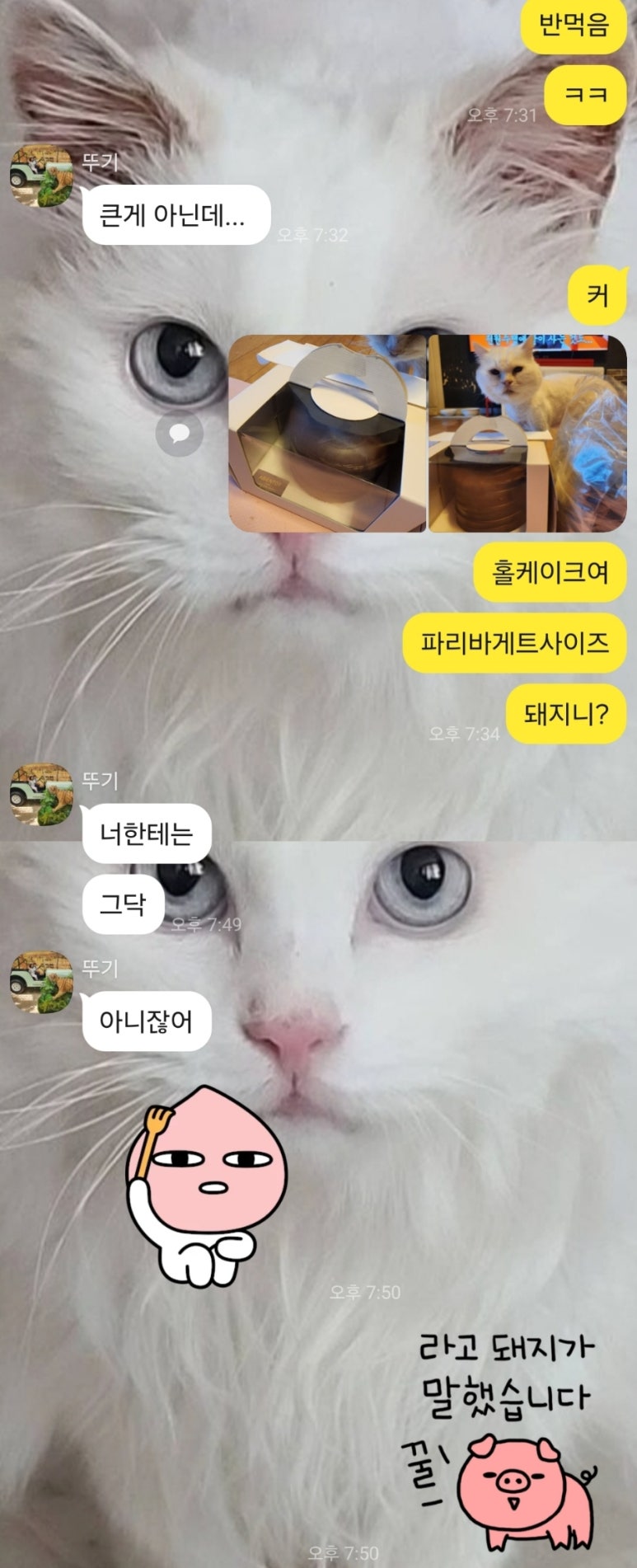 아비엥또 이미지