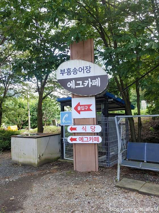 부흥횟집 이미지