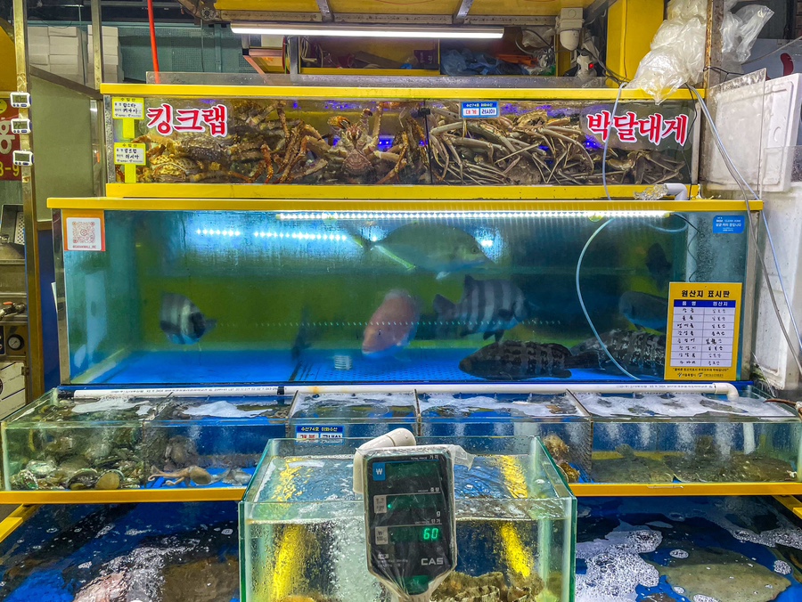 참농수산 이미지