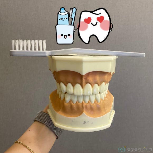 정성플러스치과 이미지